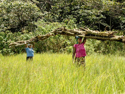 Jacques Farel hayfield CO2 Neutrale Uhren,Juwelier Kremo Salzburg Ökouhr Kremo, Ökoleder, Vegane Uhrenbänder Neutorstrasse 16